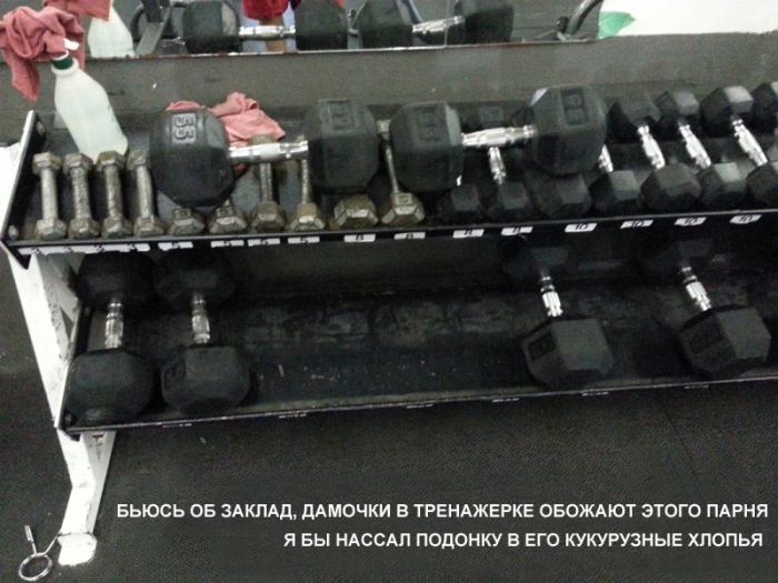 Забавные картинки