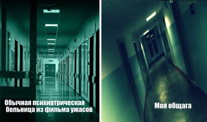 Забавные картинки