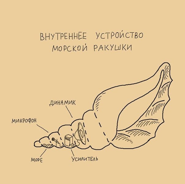 Забавные картинки