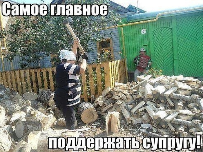 Забавные картинки