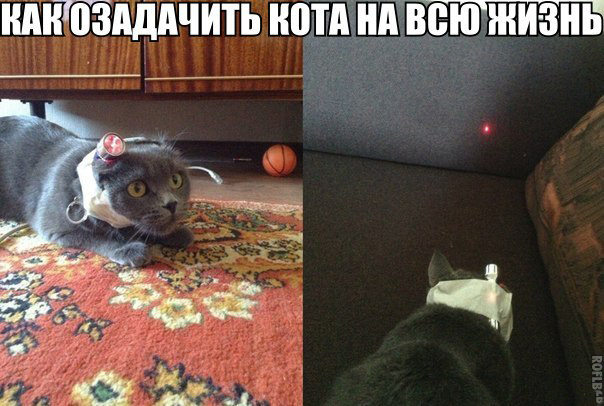 Забавные картинки