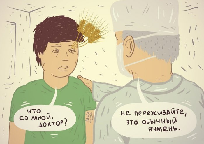 Забавные картинки