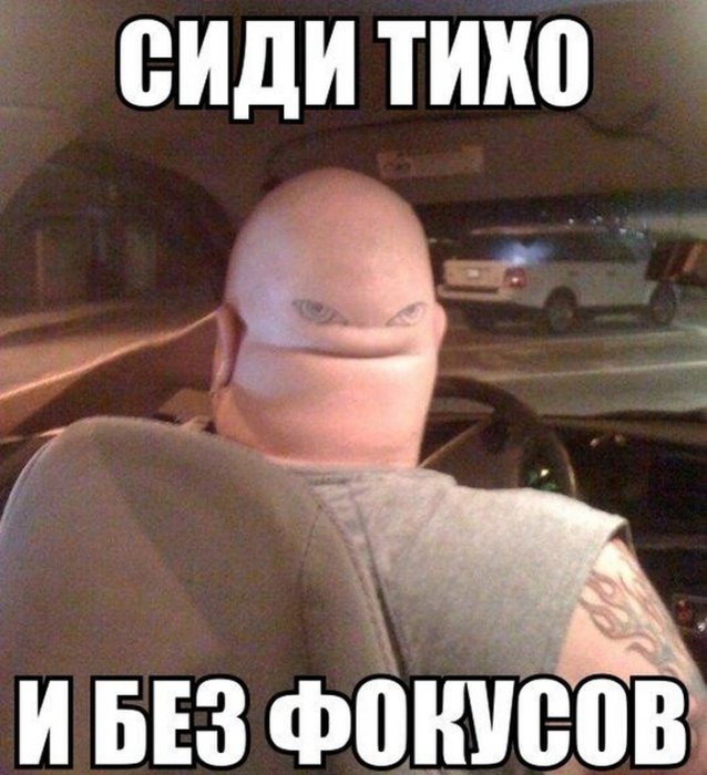 Забавные картинки