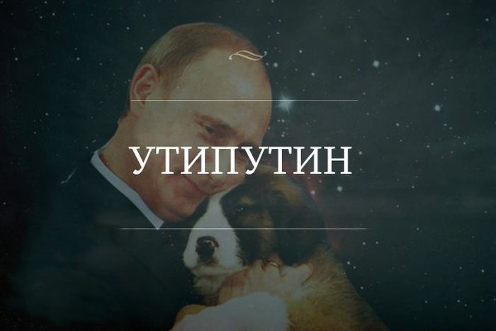 Забавные картинки