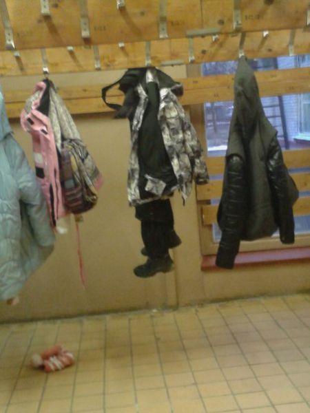 Забавные картинки