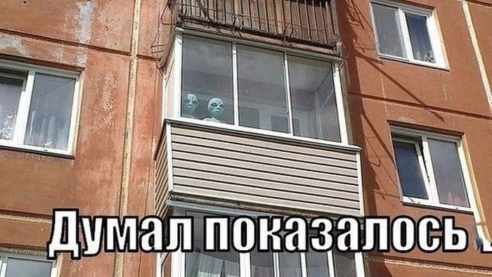 Забавные картинки