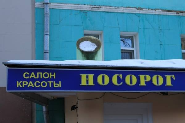 Забавные картинки