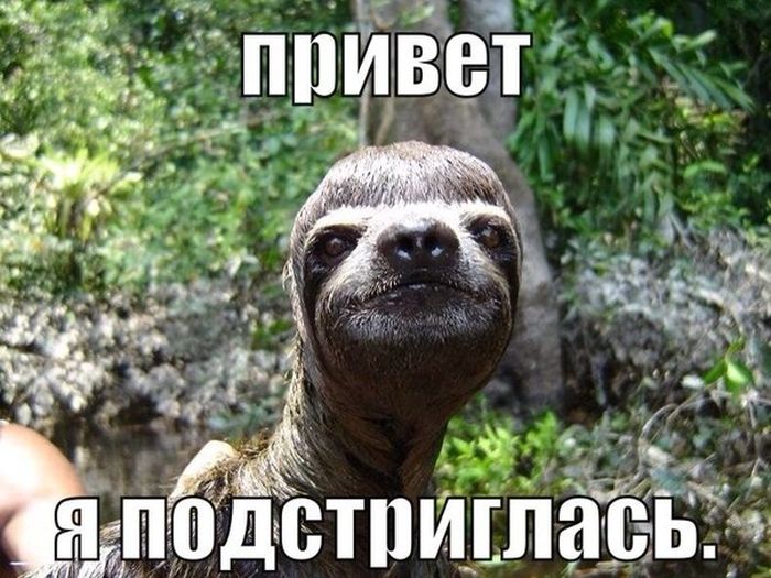 Забавные картинки