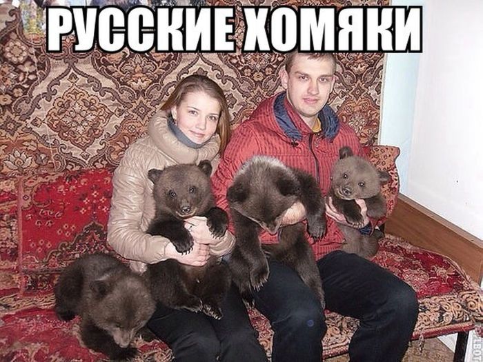 Забавные картинки