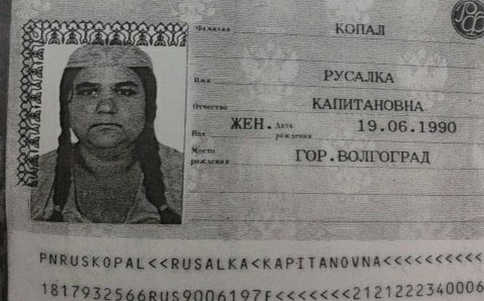 Забавные картинки