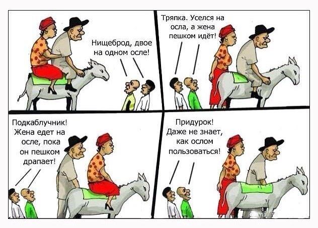 Забавные картинки