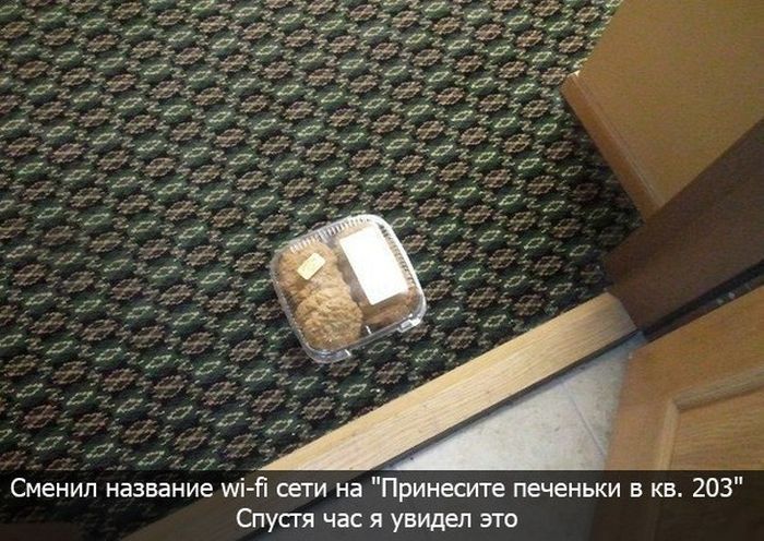 Забавные картинки