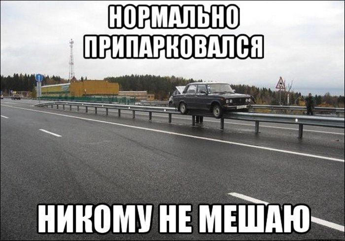 Забавные картинки