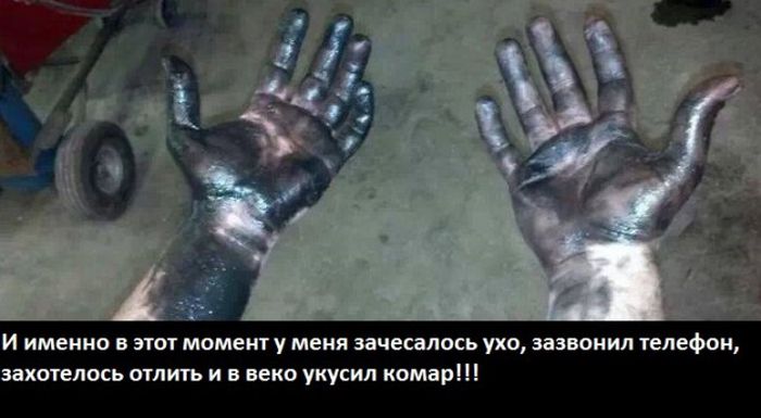 Забавные картинки