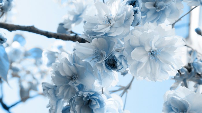 Обои на рабочий стол / Wallpapers by  famdoс mix 83
