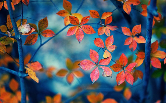 Обои на рабочий стол /HQ Wallpapers Mix 216