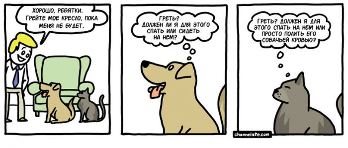 Забавные картинки