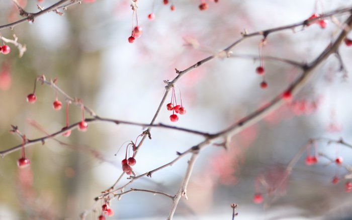 Обои на рабочий стол /Best HD Wallpapers Pack 1149