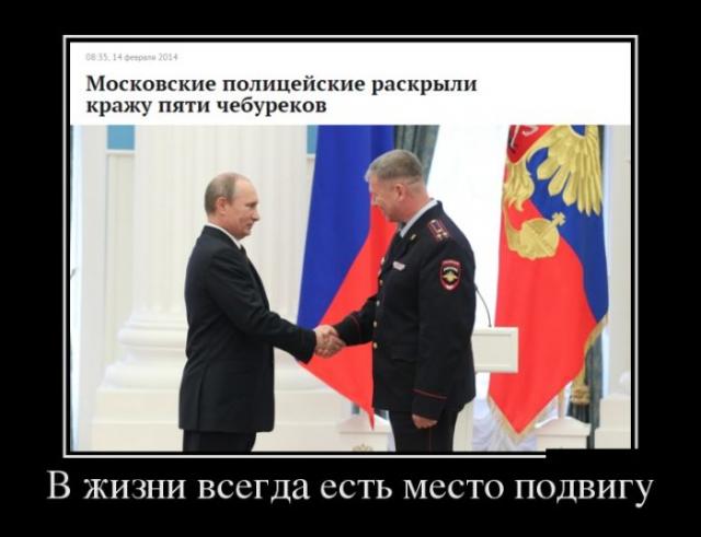 Демотиваторы (30 фото)