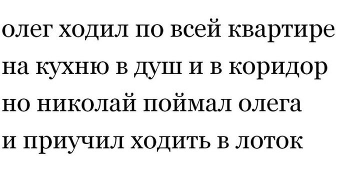 Забавные картинки