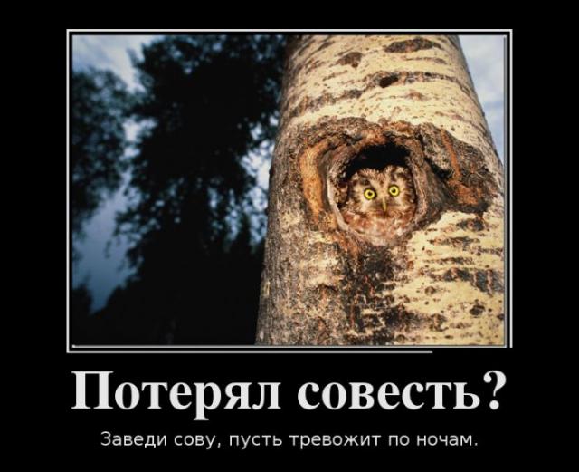 Демотиваторы (30 фото)