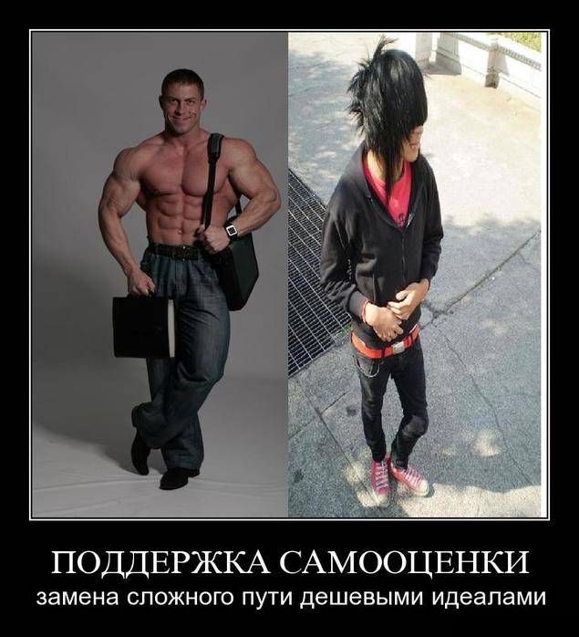 Демотиваторы (30 фото)
