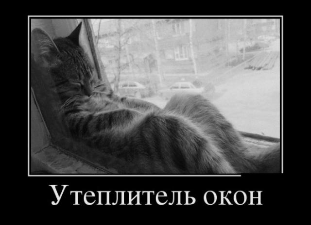 Демотиваторы (30 фото)