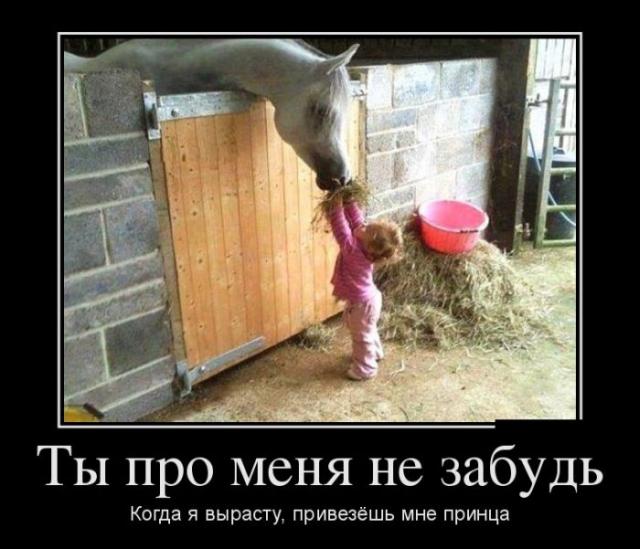 Демотиваторы (30 фото)