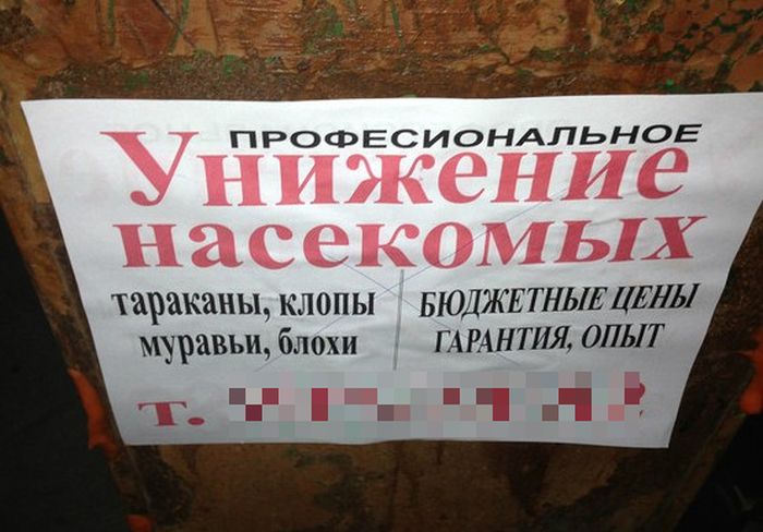 Забавные картинки