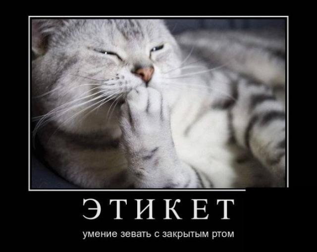 Демотиваторы (30 фото)