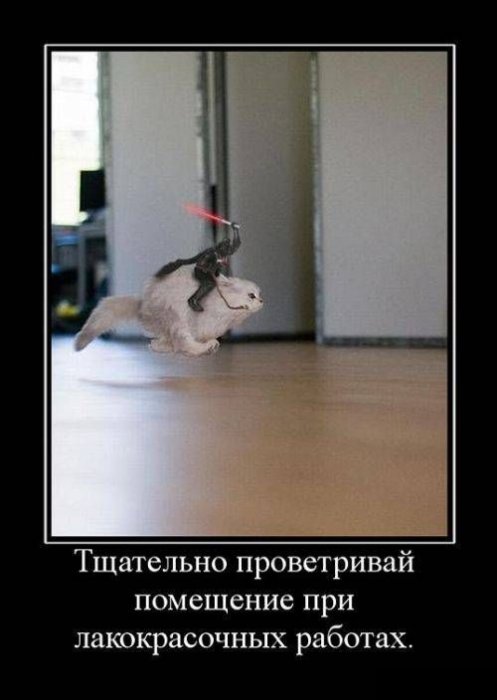 Демотиваторы (30 фото)