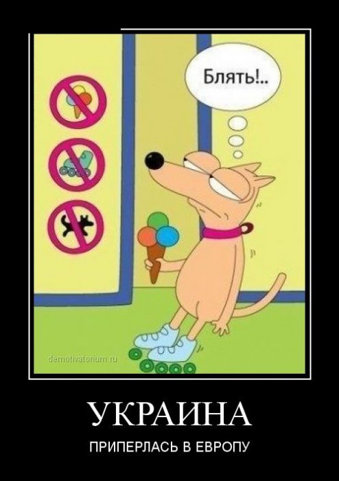 Демотиваторы (30 фото)