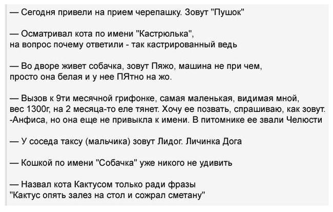 Забавные картинки