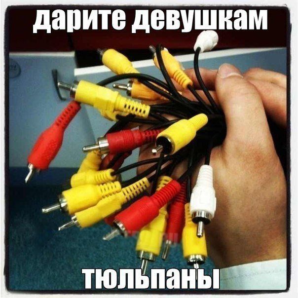 Забавные картинки