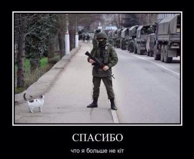 Демотиваторы (30 фото)