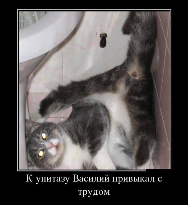 Демотиваторы (30 фото)