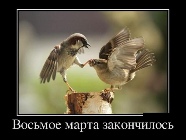 Демотиваторы (30 фото)