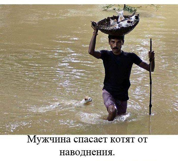 Мир не без добрых людей