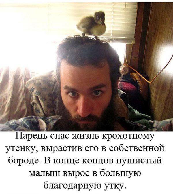 Мир не без добрых людей