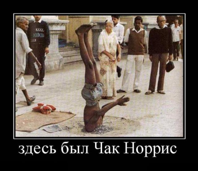 Демотиваторы (30 фото)