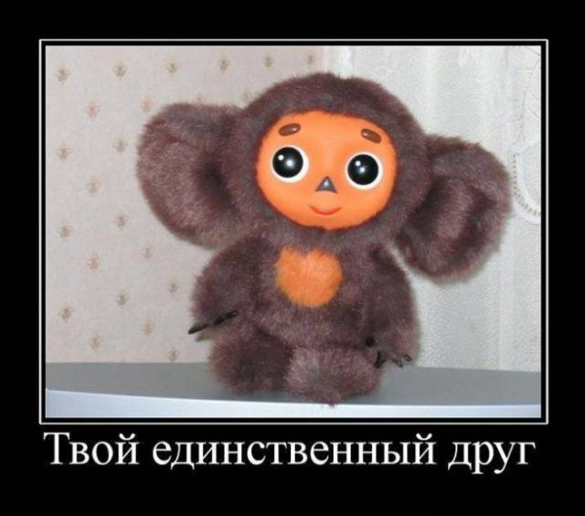 Демотиваторы (30 фото)