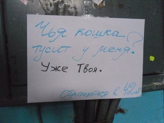 Забавные картинки
