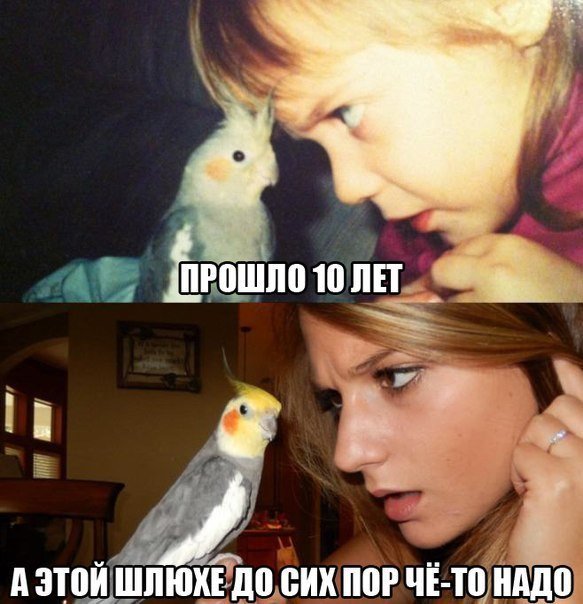 Прикольные картинки