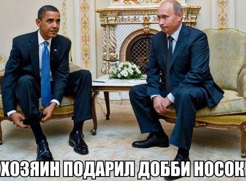 Прикольные картинки