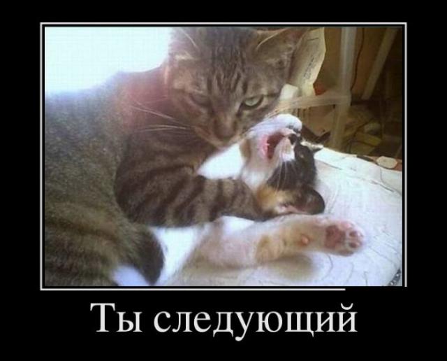 Демотиваторы (30 фото)