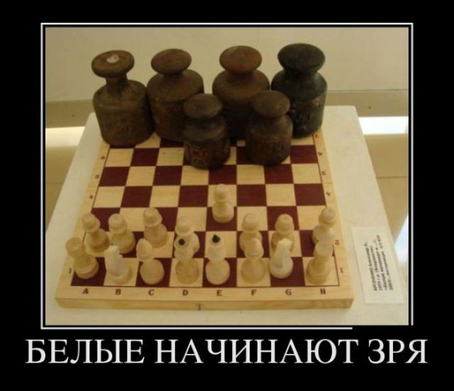 Демотиваторы (30 фото)