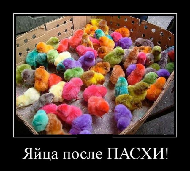Демотиваторы (30 фото)