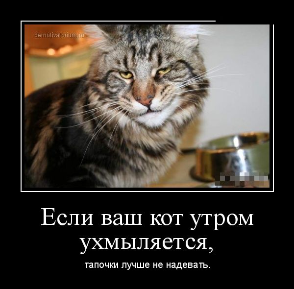 Демотиваторы (30 фото)