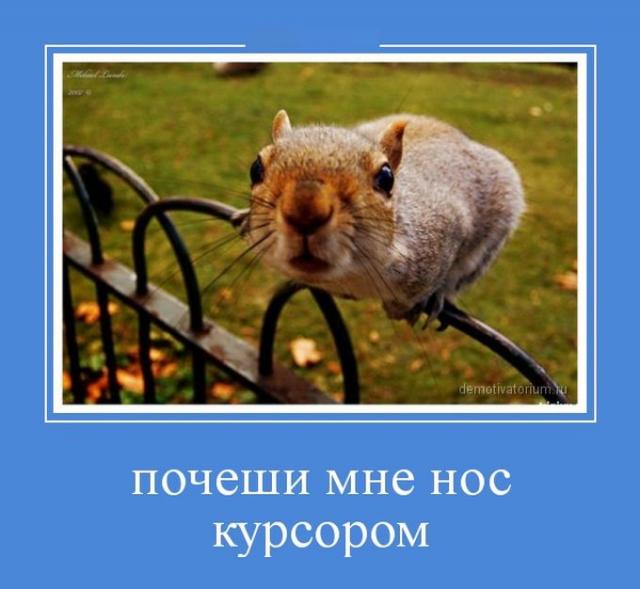 Демотиваторы (30 фото)