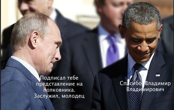 Забавные картинки